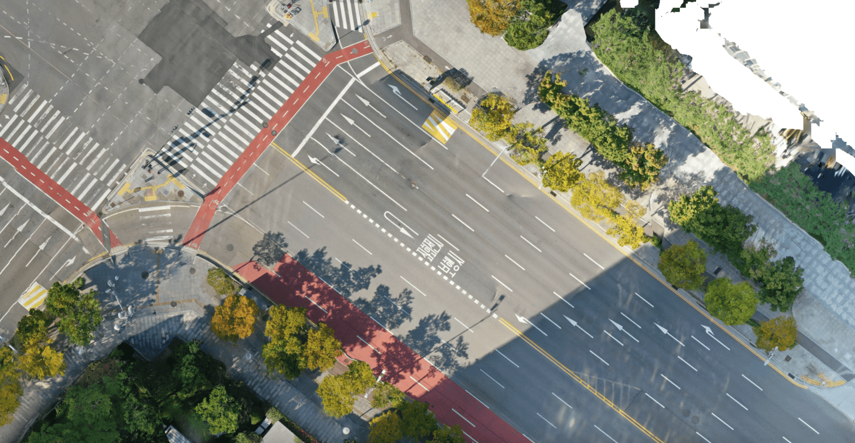 SONGDO | without car Ortho