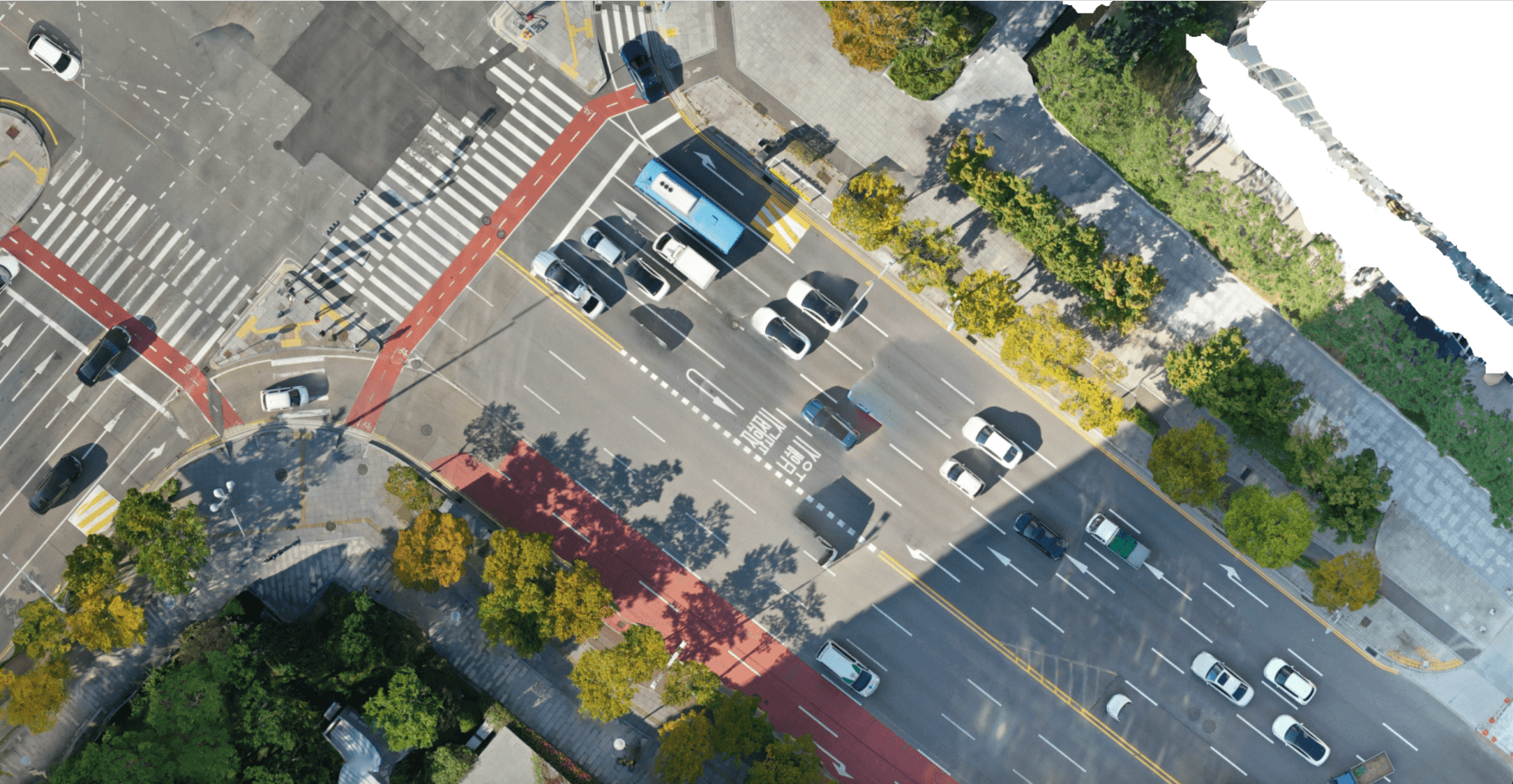 SONGDO with car ortho